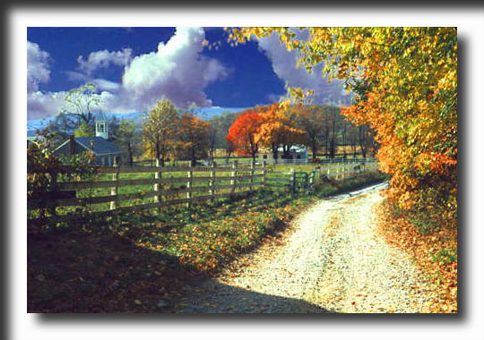 Virginia, horse country, horses, autumn, fall colors, photography, art prints, posters, post cards