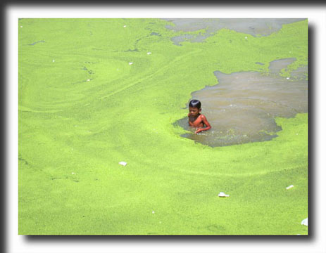 Cambodia, children, kids, swimming, travel photography, photography, art prints, posters,post cards